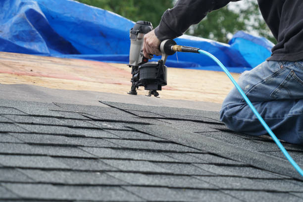 Best Roof Insulation Installation  in West Point, UT